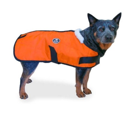 CAPA PROTETORA PARA CACHORRO