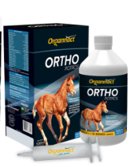 ORTHO POTROS 500ml