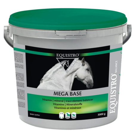 MEGA BASE 3 KG